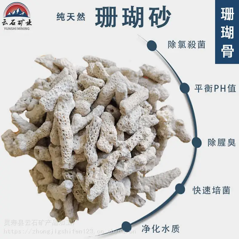 水族海洋造景净化用多孔珊瑚石过滤材料珊瑚骨