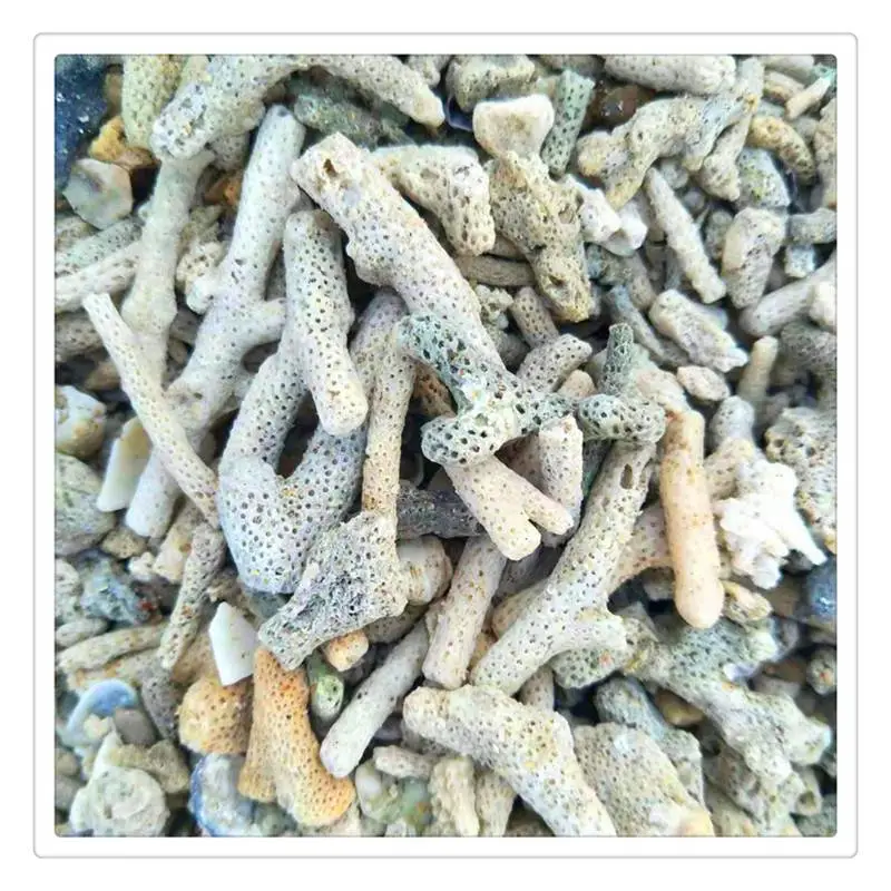 海滨供应珊瑚砂 造景珊瑚砂 养殖用珊瑚砂