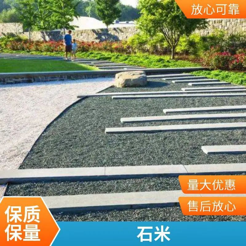 园林路面铺设洗水石米规格齐全洗米石厂家发货