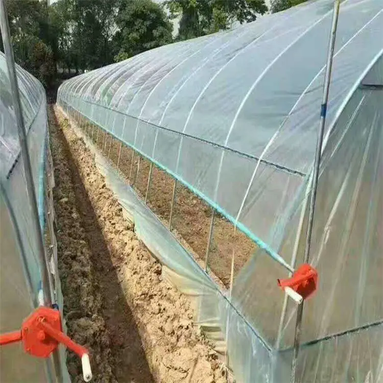 蚌埠怀远温室大棚-农丰大棚骨架厂连栋大棚管