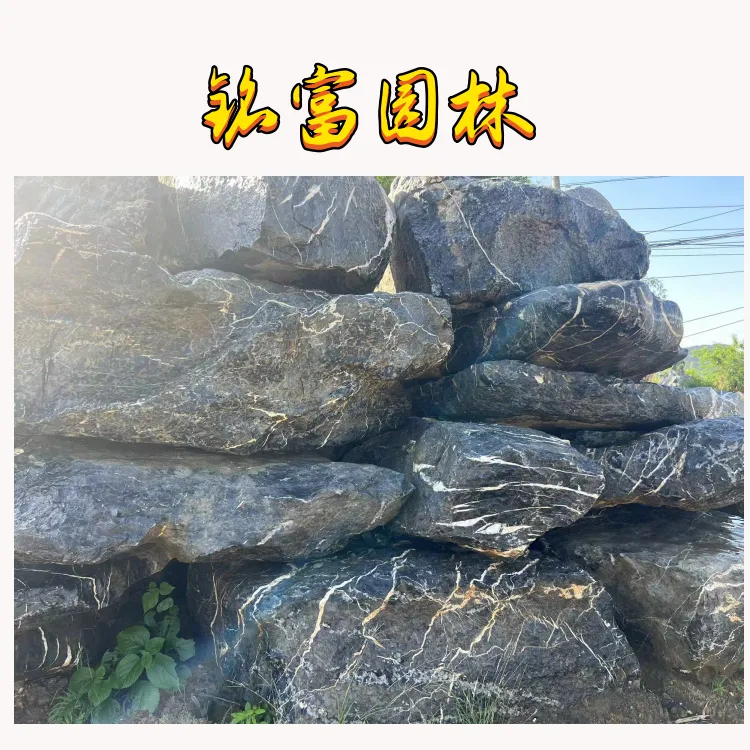 广 东公园里的太 湖石，太 湖石为公园增添韵味，品质好的太 湖石价 格