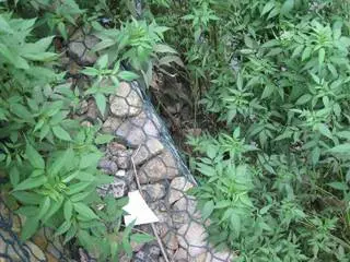 热镀锌格宾网 高锌层 高速公路护坡 边坡柔性防护系统
