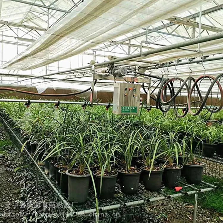 供应移动苗床网 温室育苗网 汉明育苗设施厂家