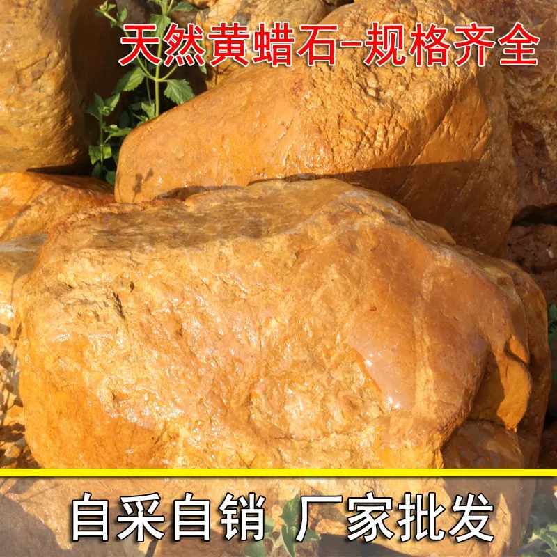 正宗驳岸石、***围边石头、花坛花园点缀黄蜡石、小区草坪石