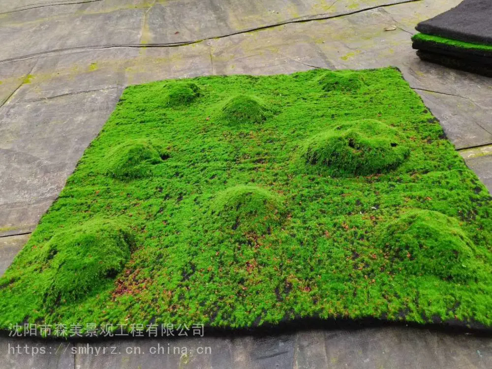 学校假苔藓绿植墙花艺软装植物造景