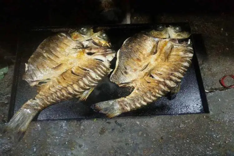 湖南常德 电烤鱼炉多少钱? 玖子仟弘烤箱厂家
