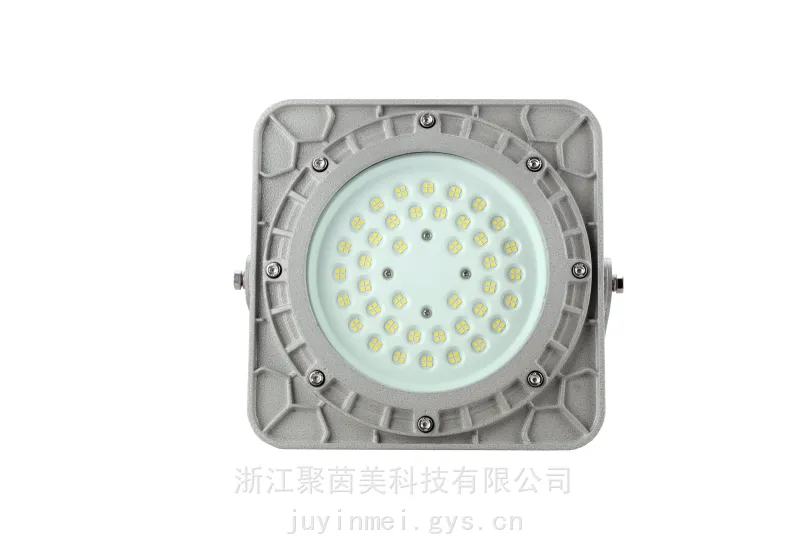 免维护防爆灯供应50W100W200W300W隔爆型LED防爆灯
