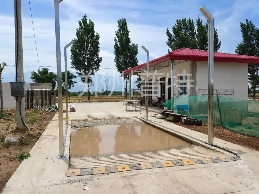 屠宰场 雾化消毒 车辆消毒通道 厂家销售