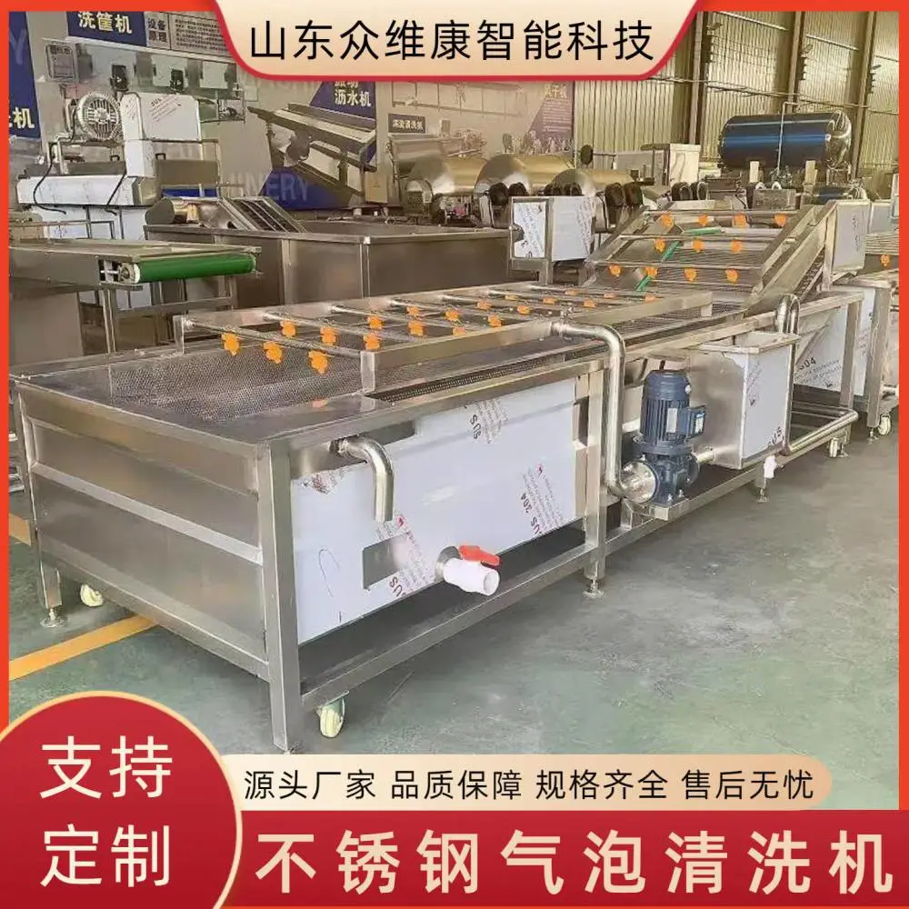商用果蔬气泡清洗机 辣椒豆角喷淋式清洗机 草莓大枣洗果机支持定制