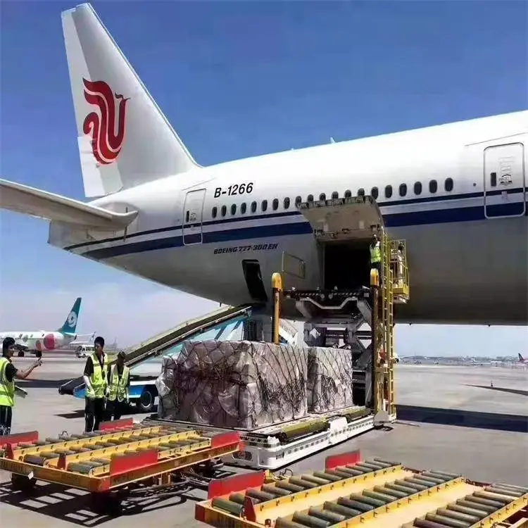 沈阳物流|机场快递|广州到沈阳物流鲜花空运|跨省当日达