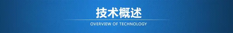 技术概述