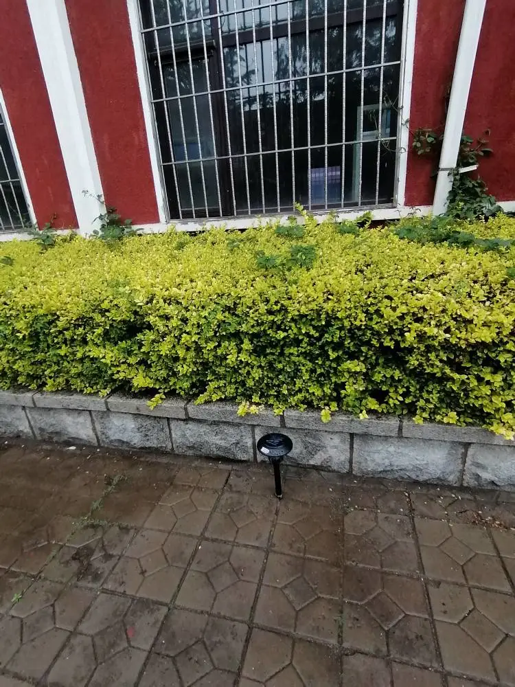 学校灭蚊灯选择太阳能灭蚊灯安装效果好
