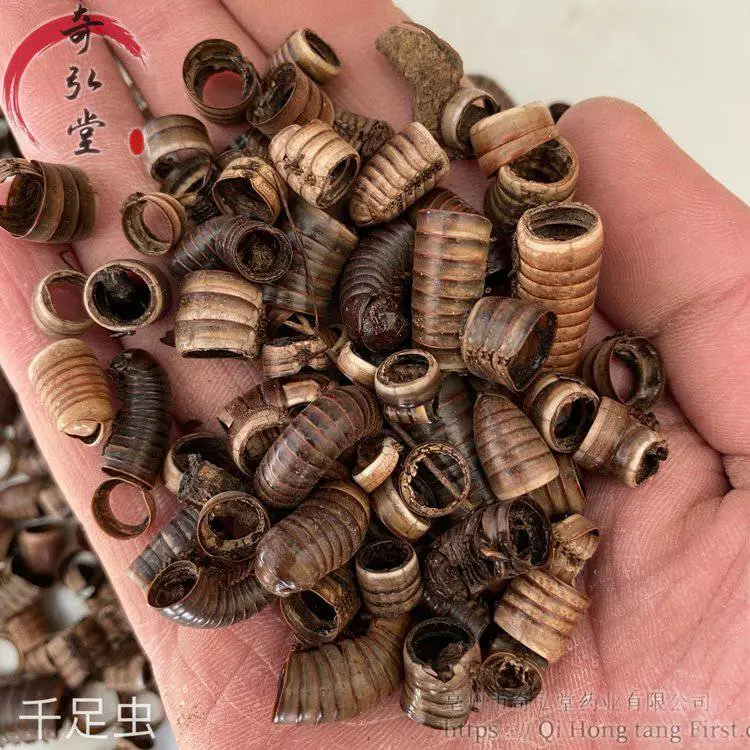 中药材马陆/马陆的价格