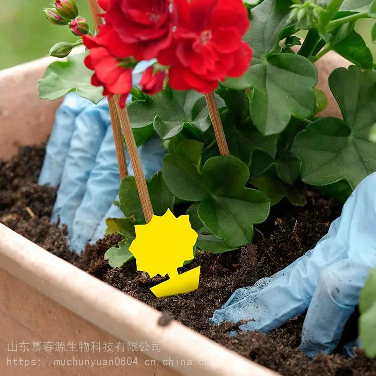 苍蝇板捕虫板 诱虫板价格批发 大号棚粘虫板 慕春源