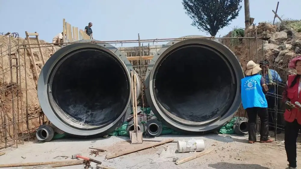 DN200管中型防倒灌器 亦称防回流阀 预防海水倒灌 厂家供应