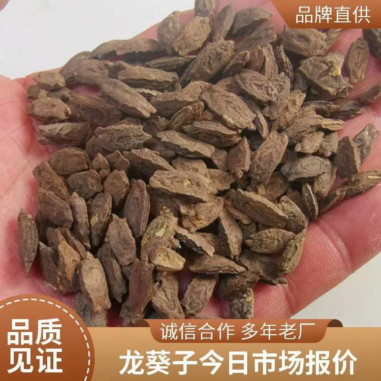 大量批发供应 道地药材 龙葵 小苦菜 天茄子 纯 天 然 干净无杂