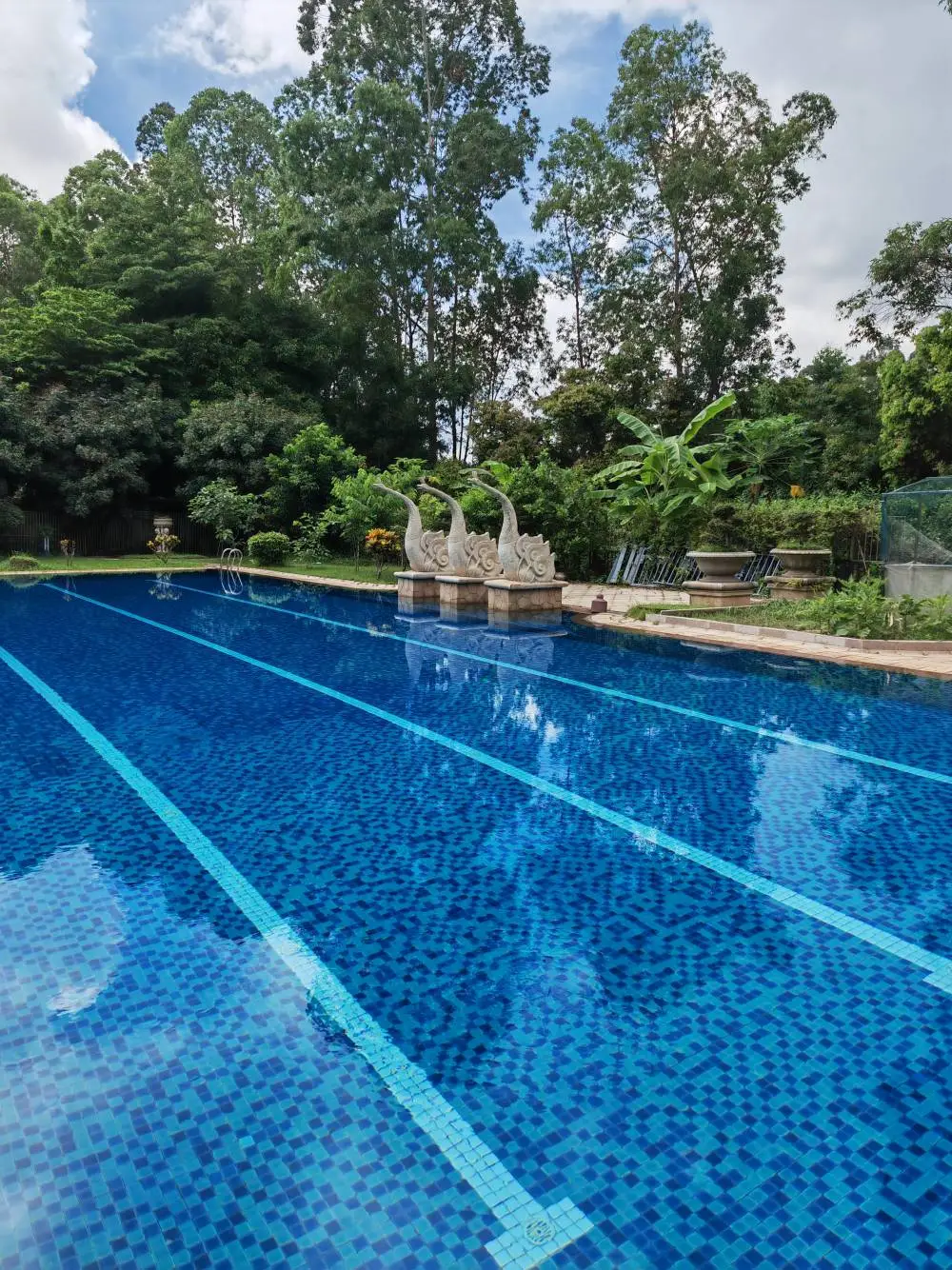 丹东别墅游泳池恒温设备 泳池双模式除湿热泵机组设计