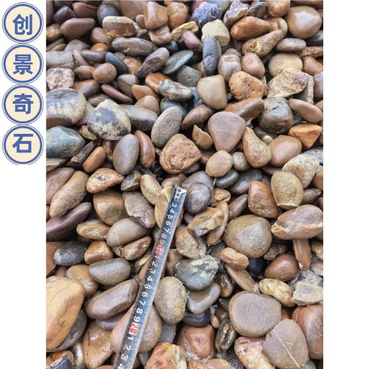 肇庆高要变电站鹅卵石 高要污水处理鹅卵石 高要杂色鹅卵石河滩石