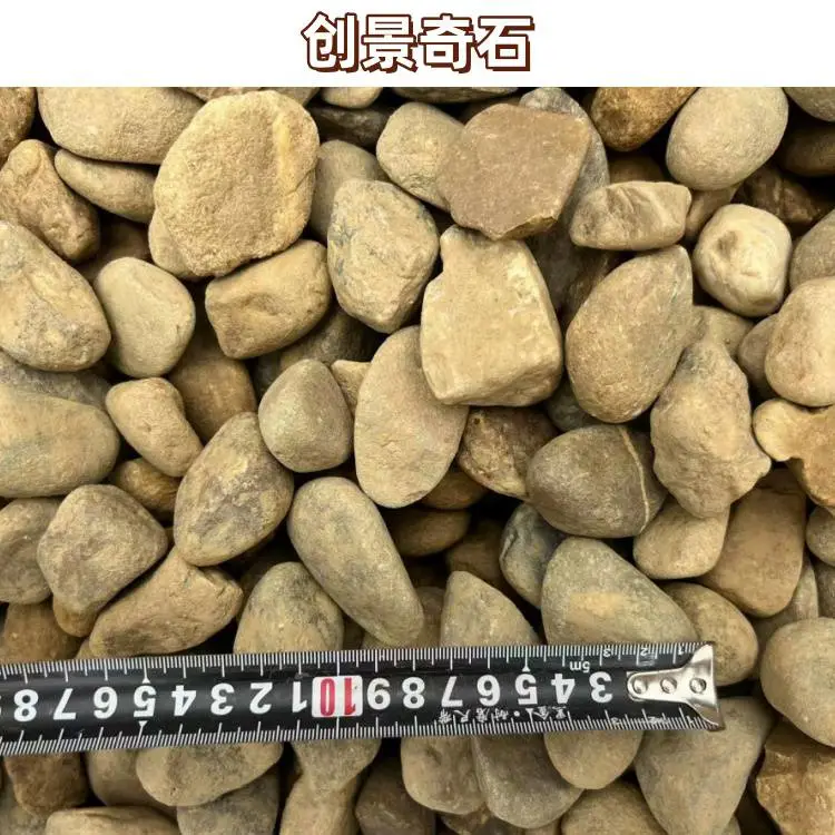 广东揭阳鹅卵石地坪铺装 揭阳鹅卵石污水过滤 揭阳鹅卵石建筑石料