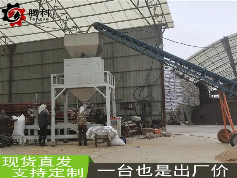 粉剂异型块状双用包装设备多少钱 全自动定量称重打包机生产厂家