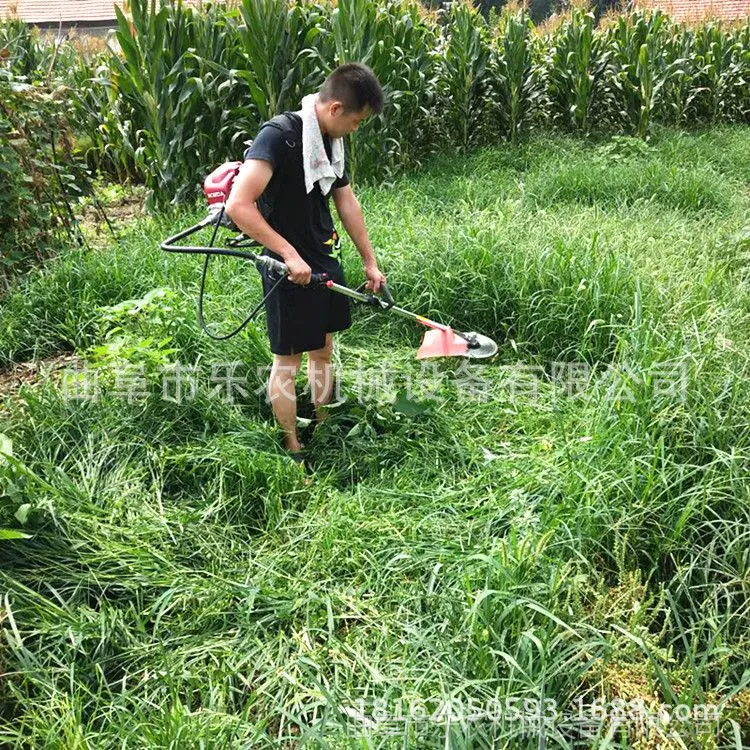 微信图片_20180729112656_副本.jpg