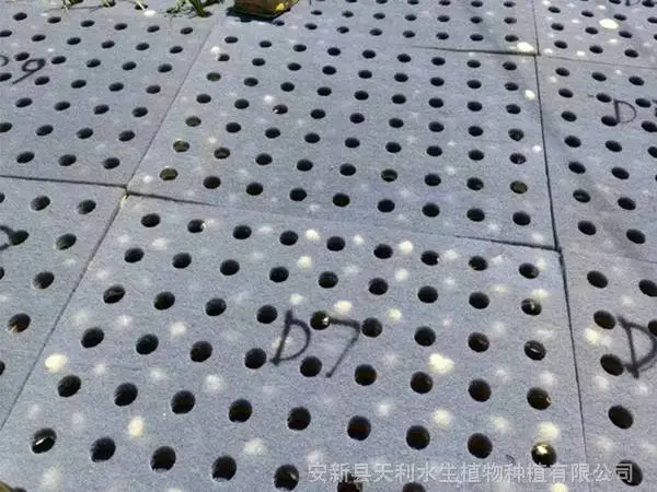 复合纤维浮动湿地,水体绿化植物浮岛,人工浮岛