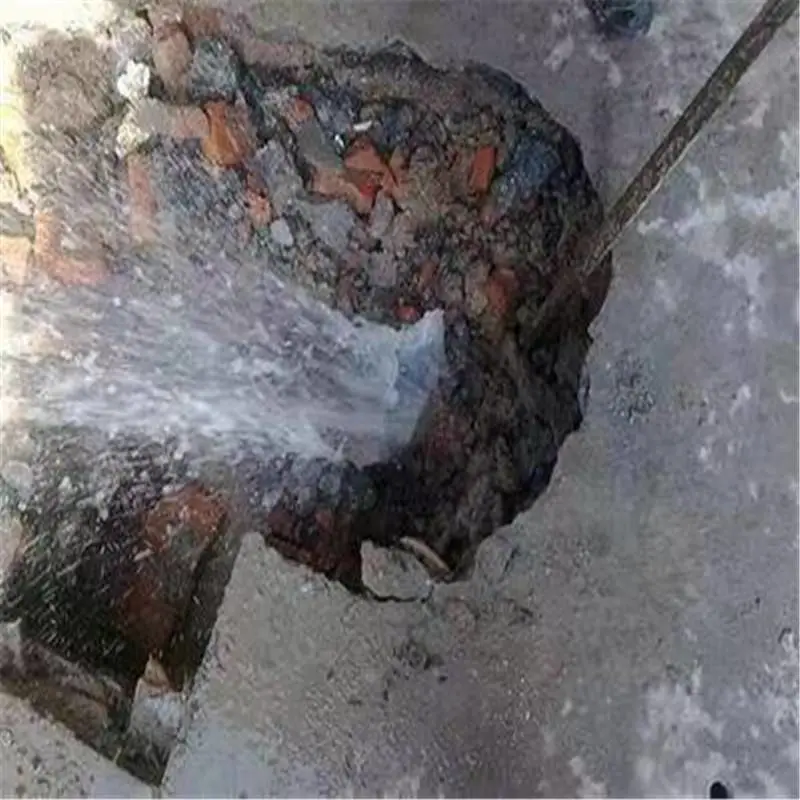 专业供应临邑地区管道查漏测漏检测服务
