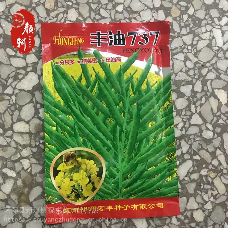 供应丰油737油菜种子秋播矮杆高产抗倒伏耐寒早熟德杂油德矮油