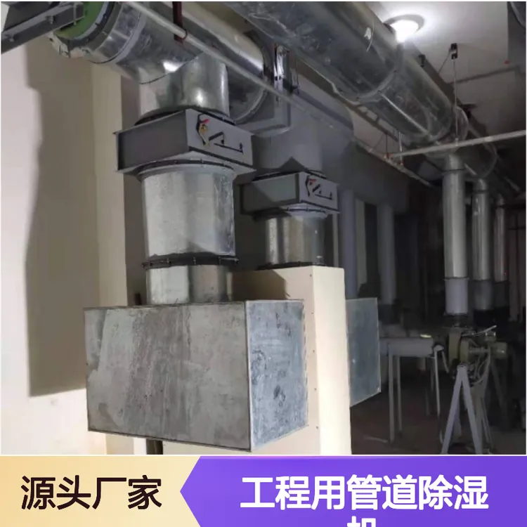 车间落地式除湿机 人防工程专用 非标定制 服务全国