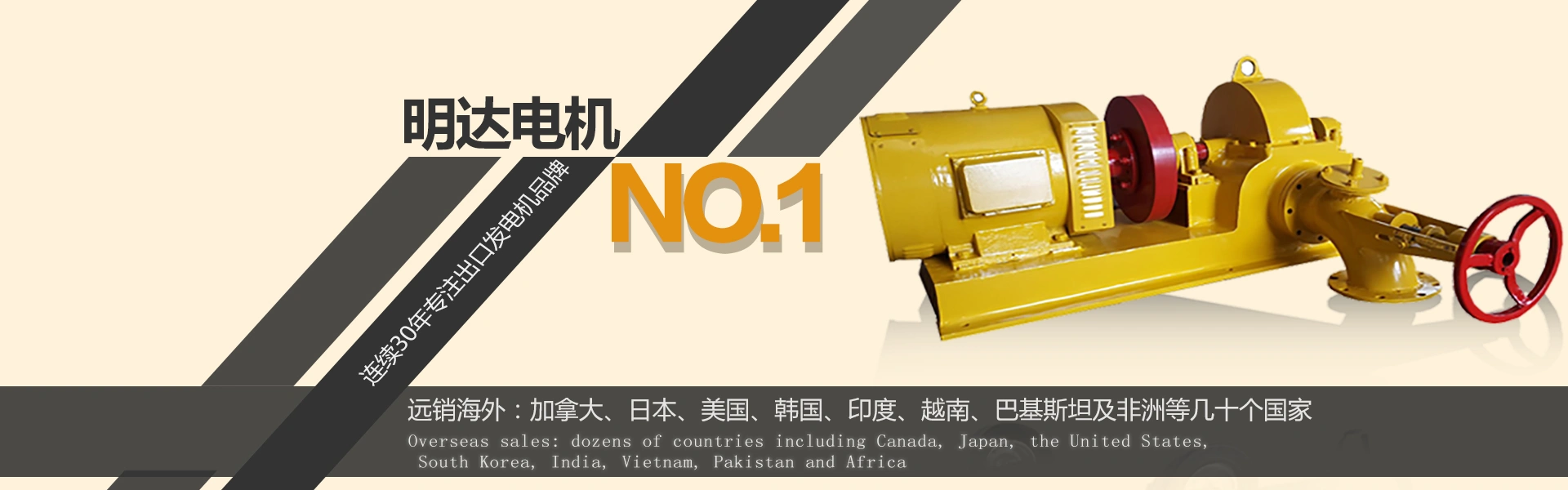 广西平南县明达电机厂
