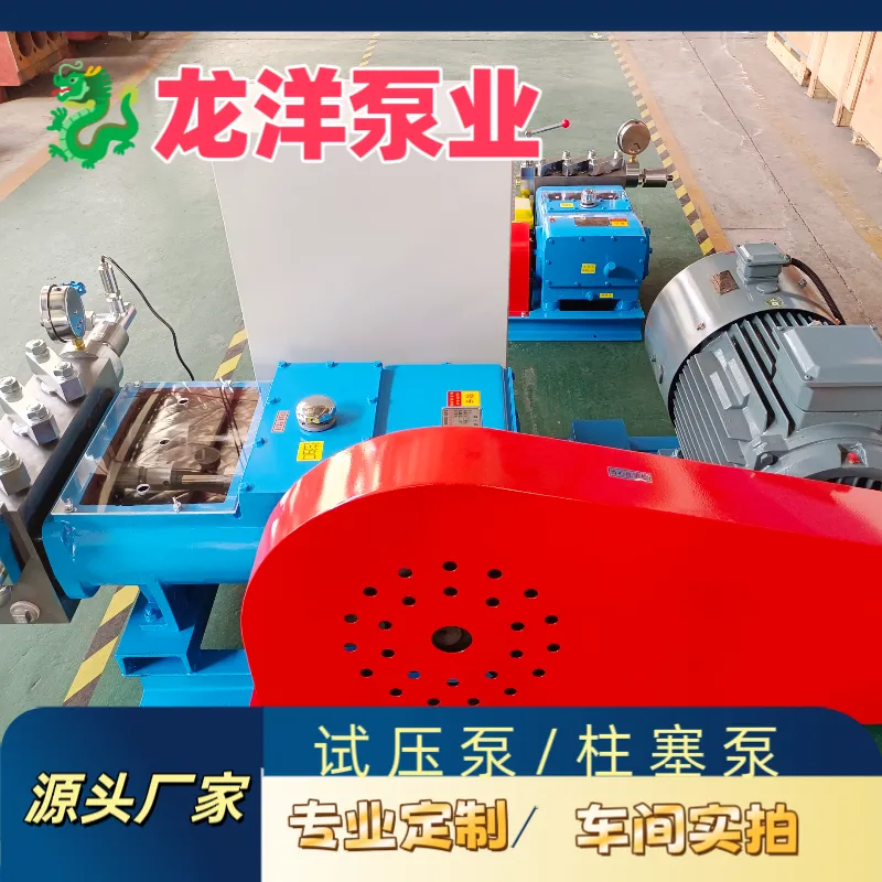 试压泵-工作压力30MPa 龙洋高压管道捡漏泵