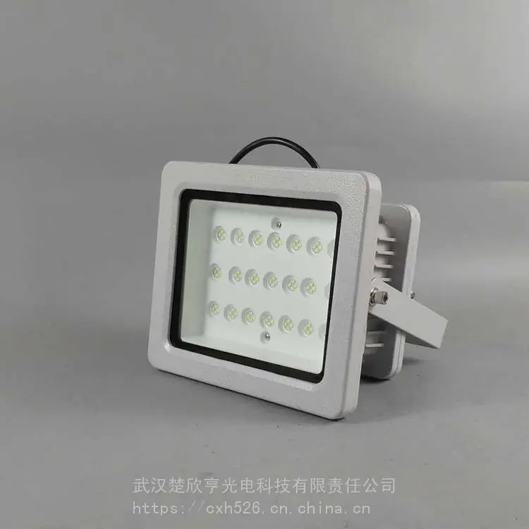 壁挂应急灯 煤矿用应急标志灯 应急灯批发 楚欣亨