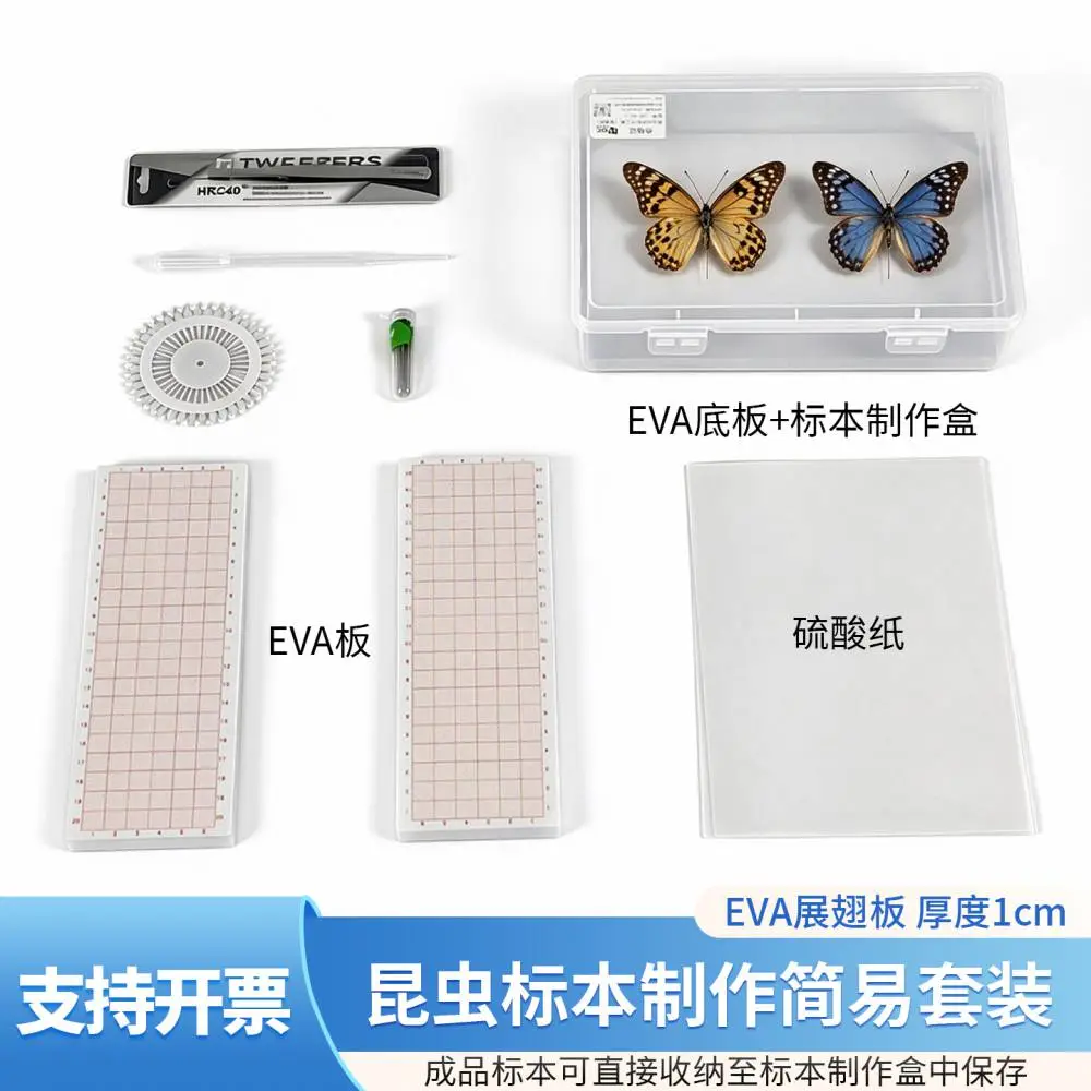 昆虫标本制作套装 毒瓶熏杀 蝴蝶展翅整姿 生物实验野外采集保存一体工具