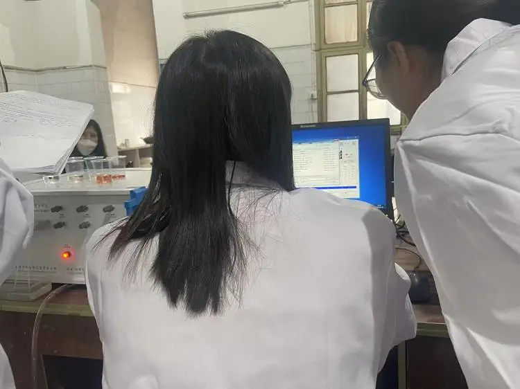 多元素快速分析仪 玄武岩纤维化学成分检测仪器 诚信保障