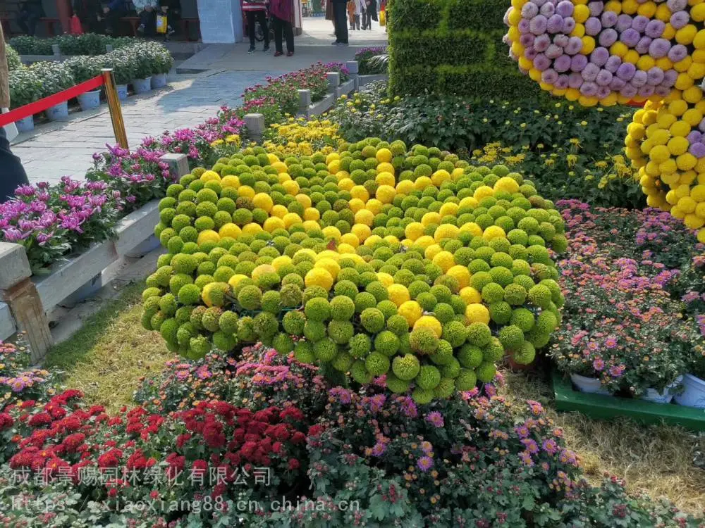 四川内江绿雕做法 ,运动器材造型仿真植物绿雕造型制作