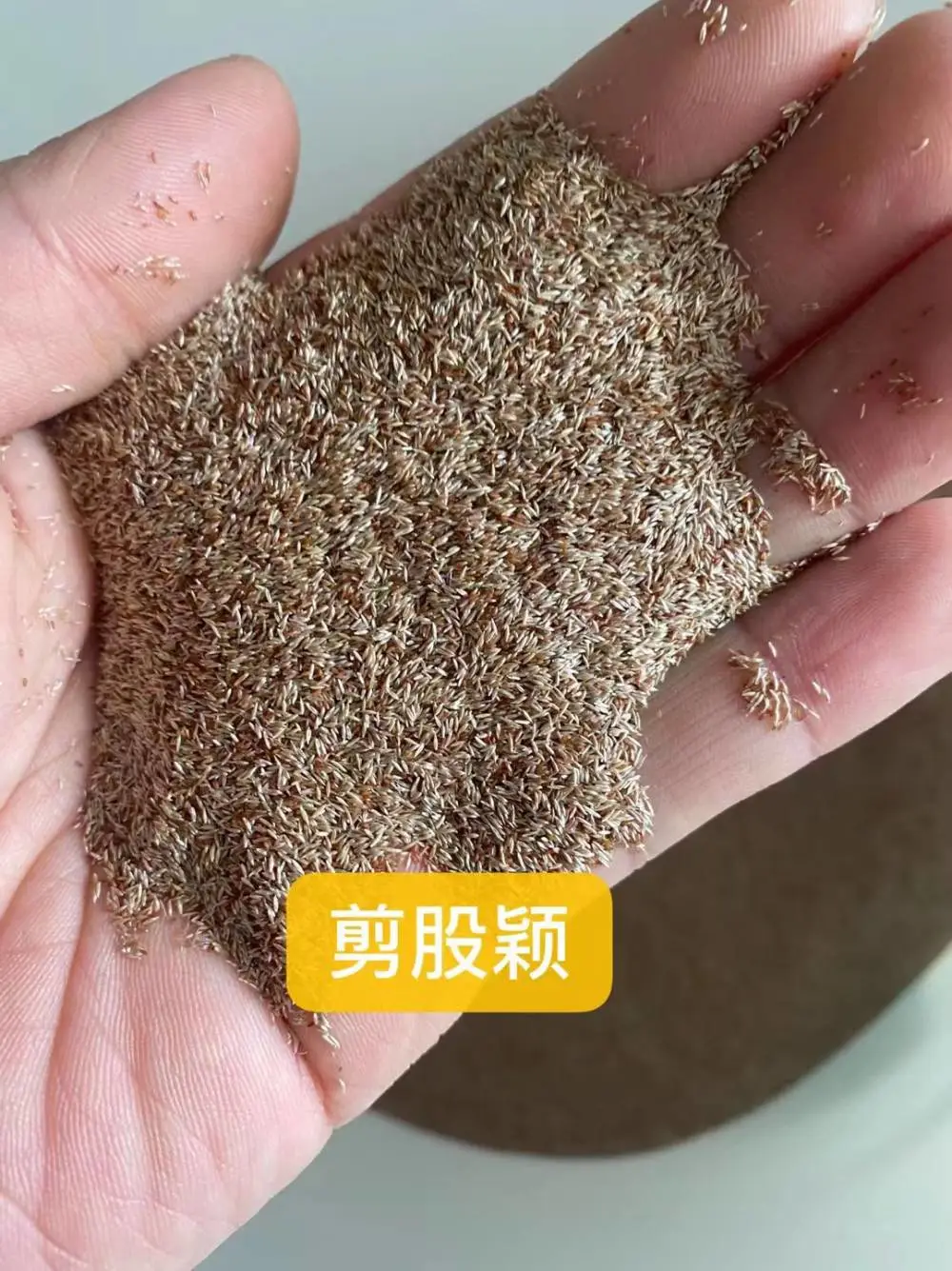福禄考黄菖蒲花子玩具向日葵花种籽耧斗菜沙蒿草籽山樱桃榆叶梅