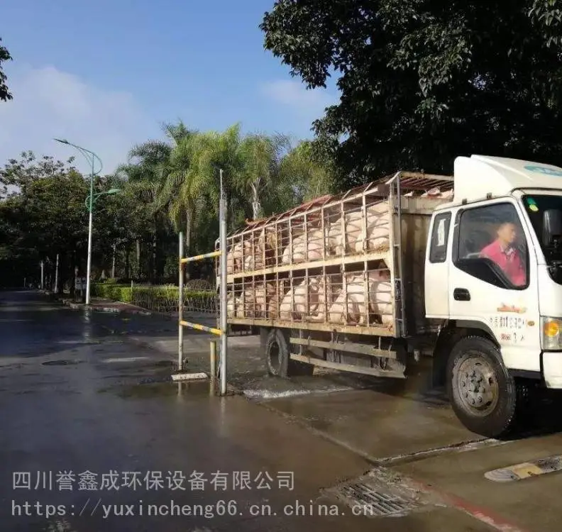 车辆消毒喷雾 养猪场喷雾消毒 养猪场车辆洗消中心 质量保障