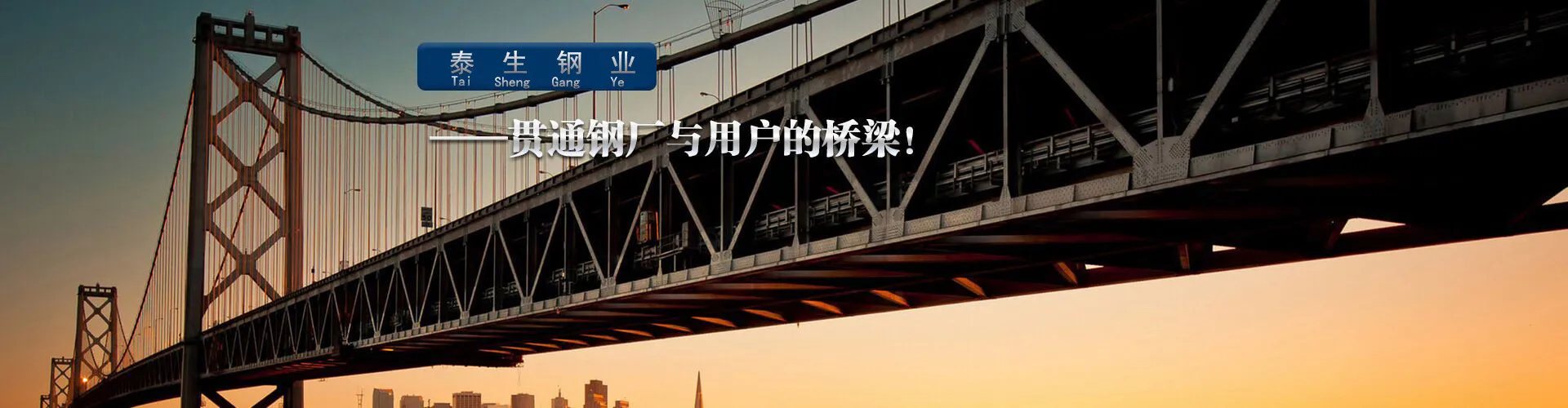 佛山市泰生不锈钢有限公司