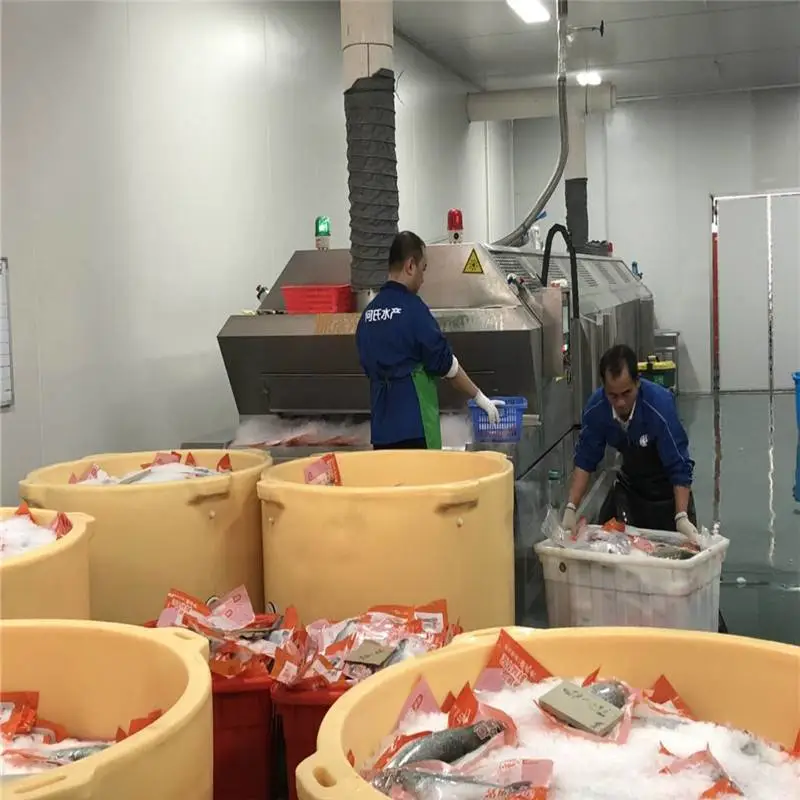 吉林龙虾液氮速冻设备工厂地址