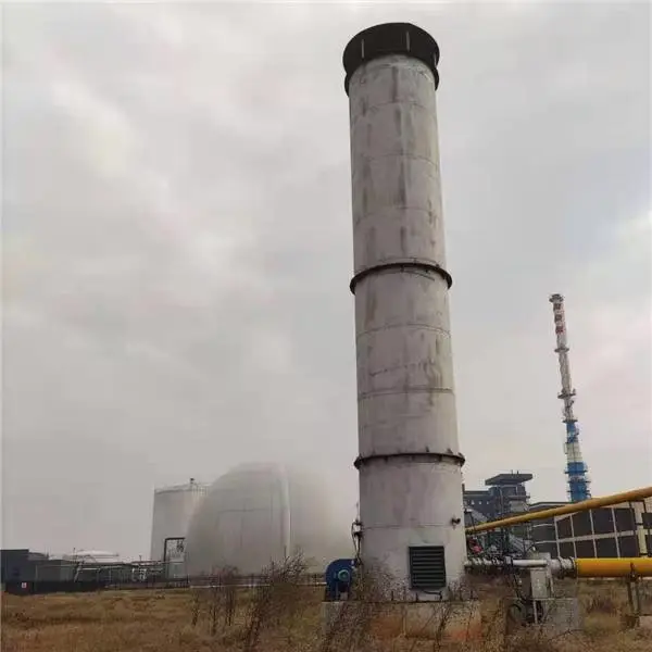 鸿硕不锈钢沼气燃烧火炬 沼气收集燃烧火炬系统