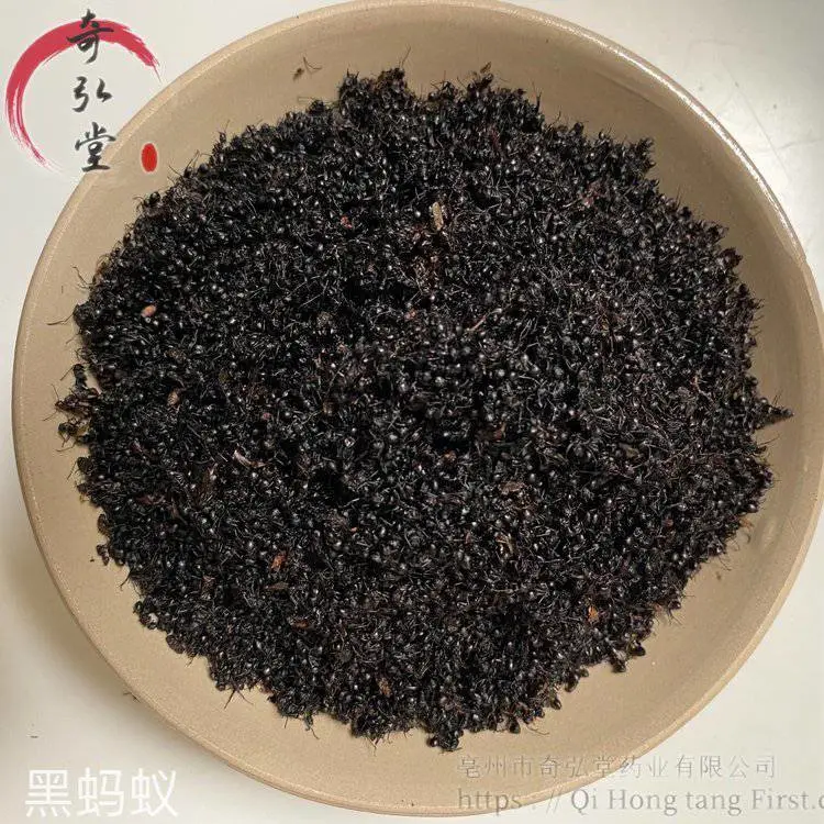 中药材黑蚂蚁-黑蚂蚁药材实物拍摄