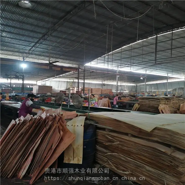 广西建筑模板***，红模板，顺强木业