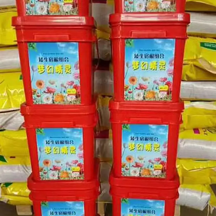 香椿净树种子麦仙翁花籽不用修剪紫云英草籽黄秋葵
