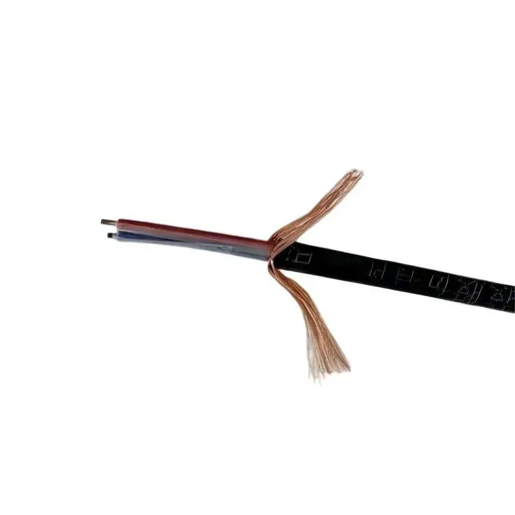 ZR-IA-KX-YPVRP32-5x2x1.5补偿电缆聚乙烯绝缘护套