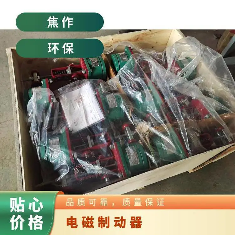 临瑞 MWZ2-500/7100K 电磁鼓式制动器 刹车片订做 源头货源保障