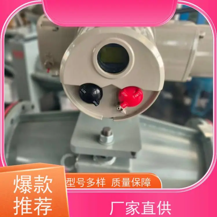 瑞浦DZW120-24多回转开关型电动执行器 DZW90阀门电动装置带涡轮