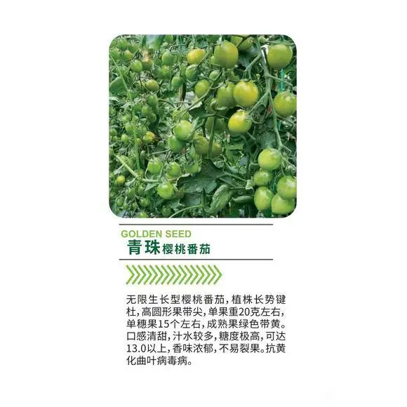 青珠樱桃番茄，成熟果绿色带黄。口感清甜，汁水较多，糖度极高，可达13.0以上，香味浓郁，不易裂果。