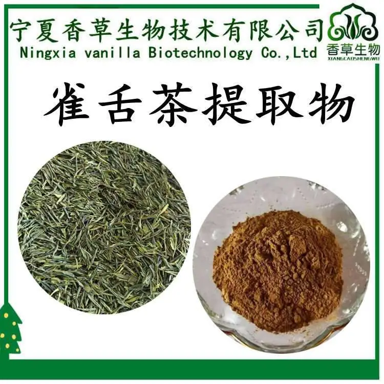 雀舌茶提取物 10：1 原粉 100目 雀舌茶速溶粉 水溶 浓缩粉