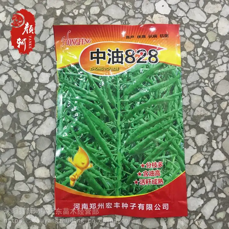 中油828油菜种子秋播高产矮杆甘蓝型半冬性大田换季用种