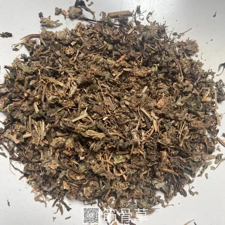 中药材筋骨草-筋骨草一公斤价格有卖